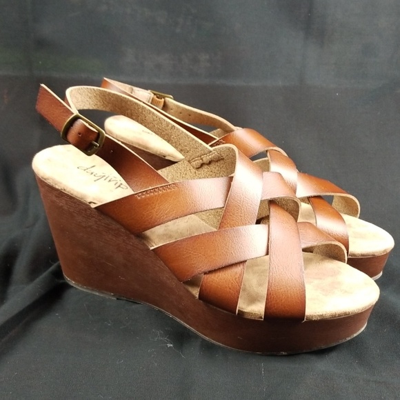 Daytrip Shoes - ⭐️Daytrip leather wedge sandles - 9.5